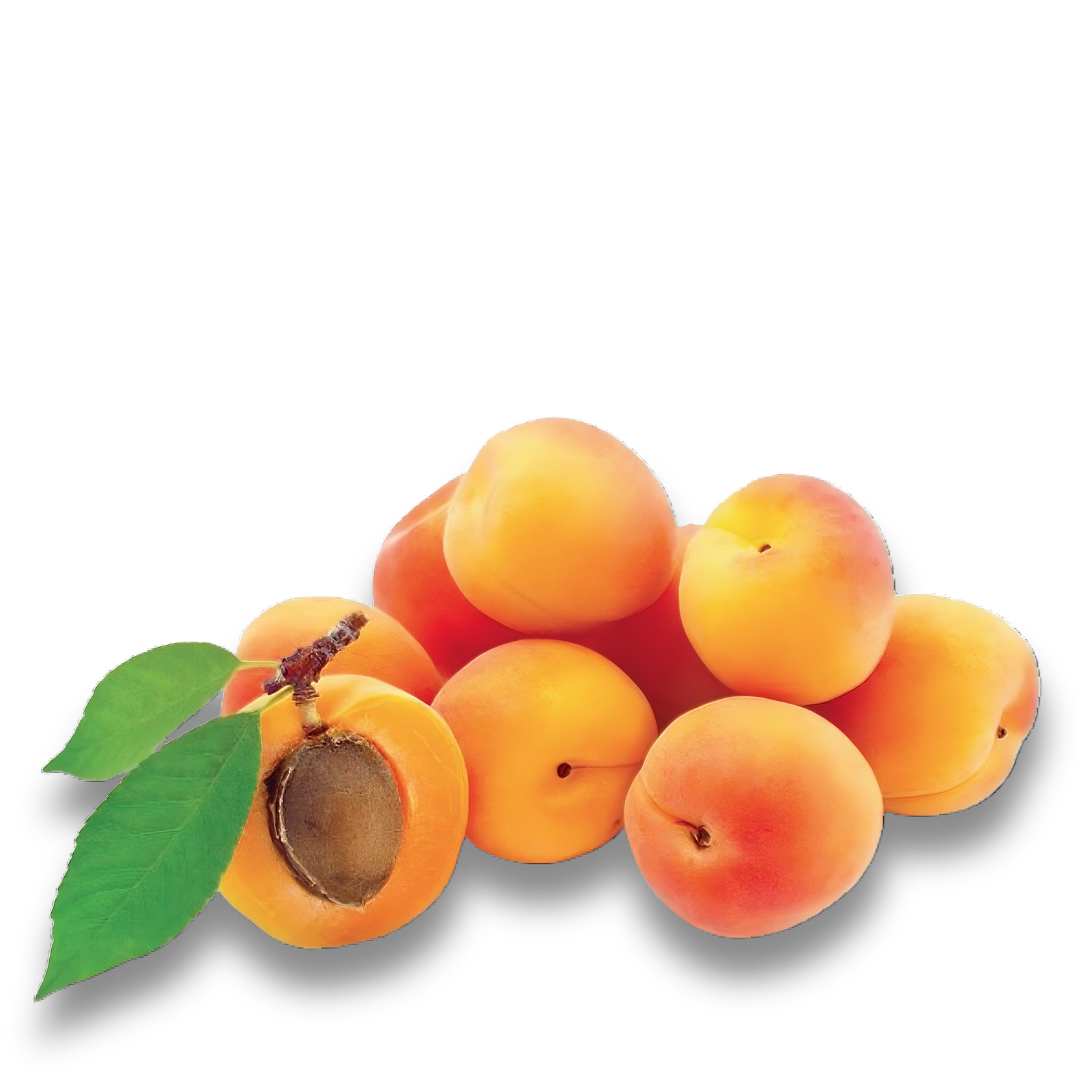 Apricots