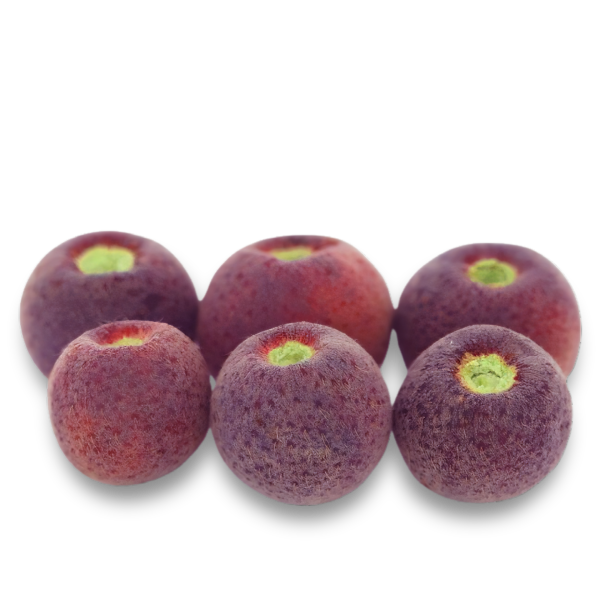 Phalsa